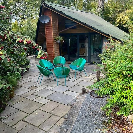 The Shed . A Cosy, Peaceful, 96% Recycled, Chalet. 스완지 외부 사진