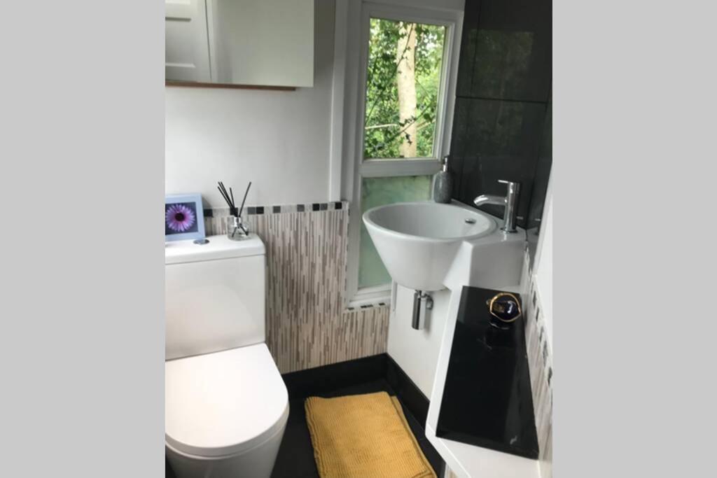 The Shed . A Cosy, Peaceful, 96% Recycled, Chalet. 스완지 외부 사진