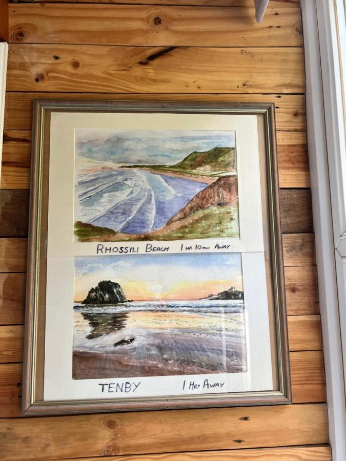 The Shed . A Cosy, Peaceful, 96% Recycled, Chalet. 스완지 외부 사진